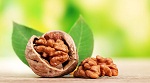 Грецкие орехи улучшают качество спермы