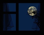 Качество  сна зависит от фазы  Луны 