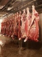 В США решили сократить использование антибиотиков среди сельскохозяйственных животных