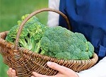 Брокколи может предотвратить остеоартрит