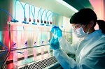 Обнаружен универсальный подход к созданию стволовых клеток