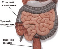 Онкология кишечника симптомы