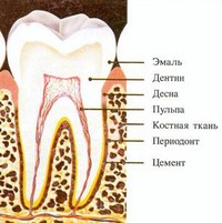 Киста зуба: лечение народными средствами