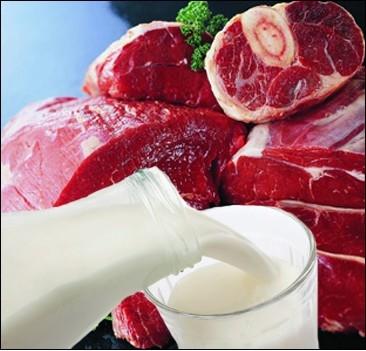 Самые полезные продукты для нормального пищеварения