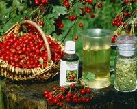 Народные средства от простатита